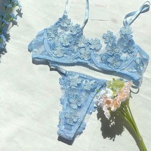 Blue Sheer Lingerie Set, Flower Embroidered, Moxy Intimates size Medium